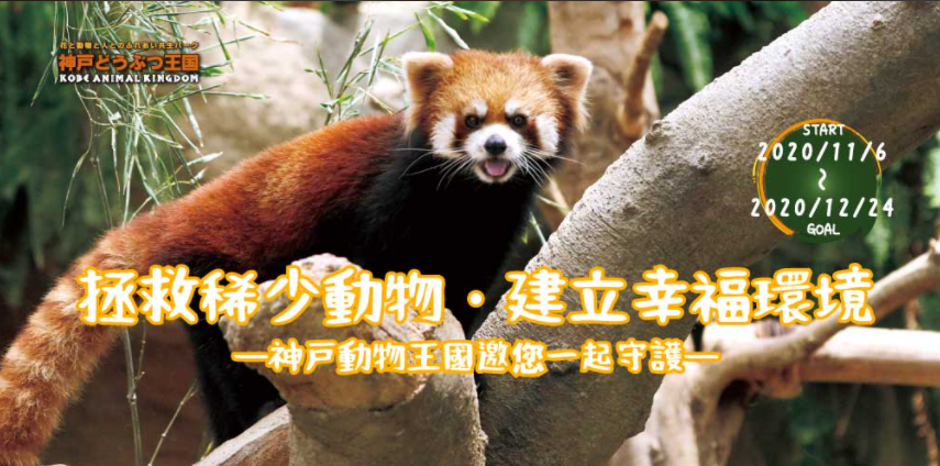 疫情下的動物們都怎麼了？日本神戶動物王國的跨境群眾募資計劃